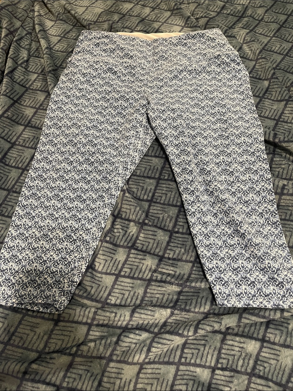 Printed Capri Pants in Navy and White